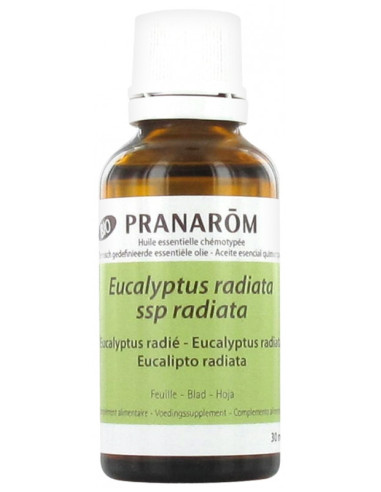 Pranarôm Huile Essentielle Eucalyptus...