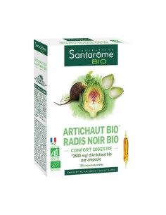 Santarome Bio Artichaut...