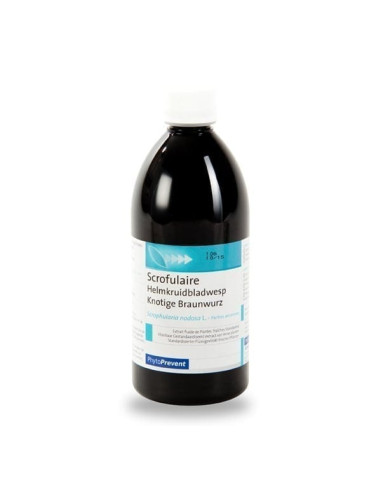 Pileje Phytoprevent EPS Scrofulaire...