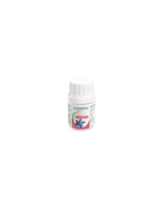 Naturactive bourrache huile...