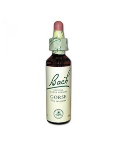 Fleur de Bach Gorse n°13 -...