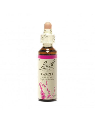 LARCH Fleur de Bach Original N°19