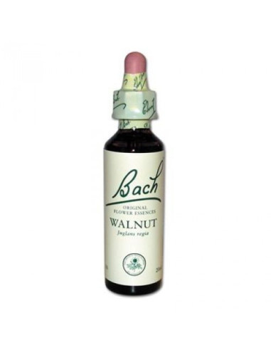 Fleur de Bach Walnut n°33 - 20 ml - Bach
