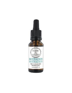 Elixirs & Co Motivation 20 ml