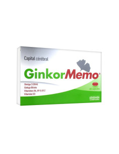 GinkorMemo capital cérébral...