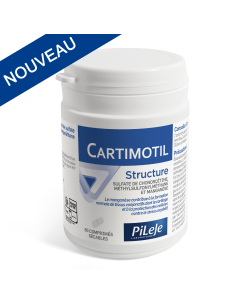 PILEJE CARTIMOTIL STRUCTURE...