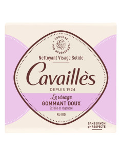 Rogé Cavaillès Le Visage...