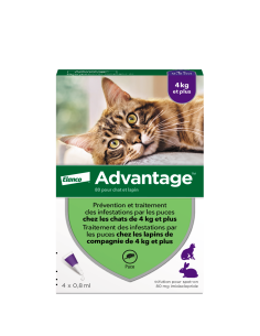 Advantage 80 Solution...