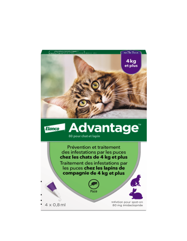 Advantage 80 Solution Antipuce Chat...