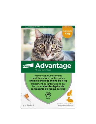 Advantage Solution Antipuce Chat...
