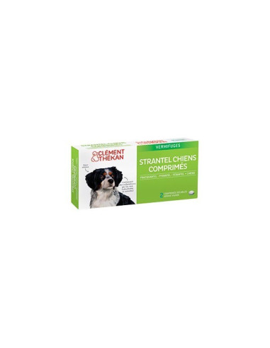 Clement Thekan strantel chien...