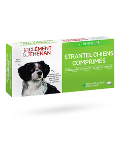 STRANTEL CHIEN BTE DE 4...