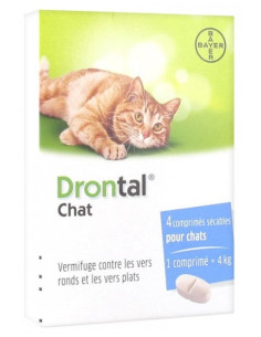 BAYER DRONTAL CHAT...