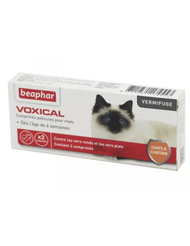 BEAPHAR VOXICAL Chat et Chaton Bte/2...