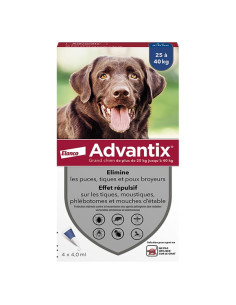 Advantix Chien Solution...