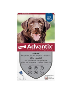 Advantix Chien Solution...