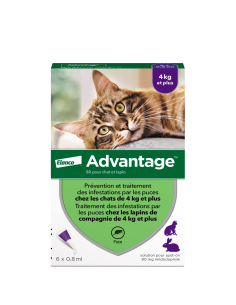 Advantage Solution Antipuce...