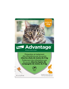 Advantage Solution Antipuce...