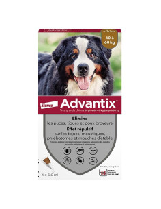 Advantix Chien Solution...