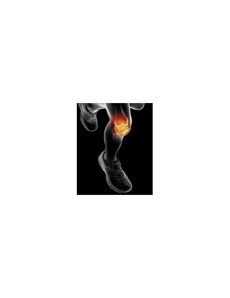 EPITACT SPORT Genouillère FLEX 01 Taille S (Unité)