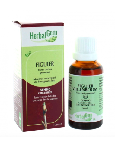 HERBALGEM BIO FIGUIER 30ML