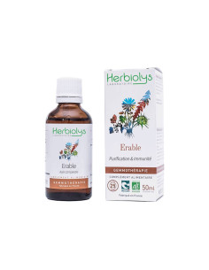 Herbiolys Erable 50ml