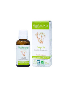 Herbiolys Séquoia sans...