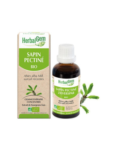 Herbalgem Macérat Concentré Sapin...