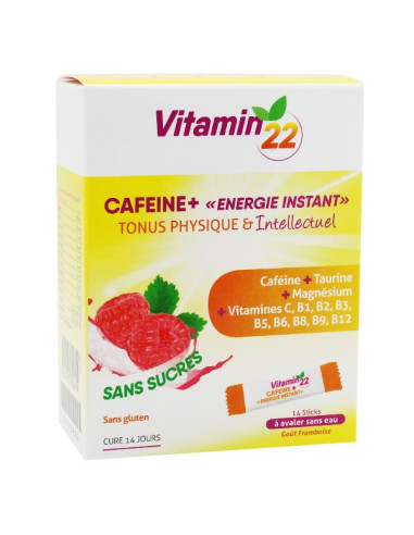 Ineldea Vitamin 22 Caféine+ 14 Sticks