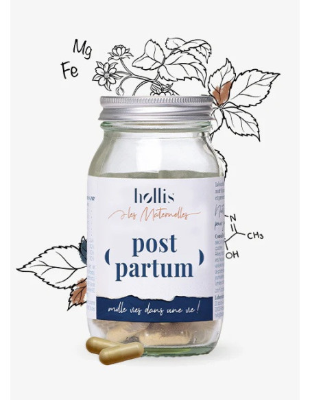 Hollis Les maternelles Post-partum 90 gélules