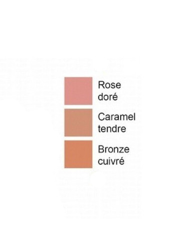 Toleriane Teint Fard à Joue Blush...