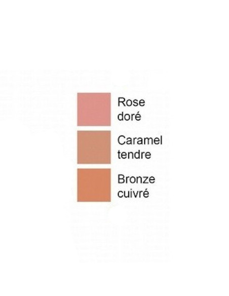 Toleriane Teint Fard à Joue Blush Rose Doré
